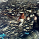 Illustration for article titled Youd Have Been Killed Too, And The Droids Would Now Be In The Hands Of Fallout: New Vegas